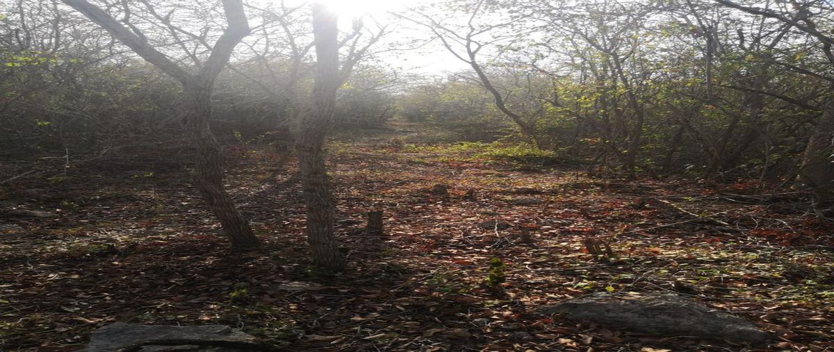 Foto de terreno habitacional en venta en  , komchen, mérida, yucatán, 27883024 No. 05