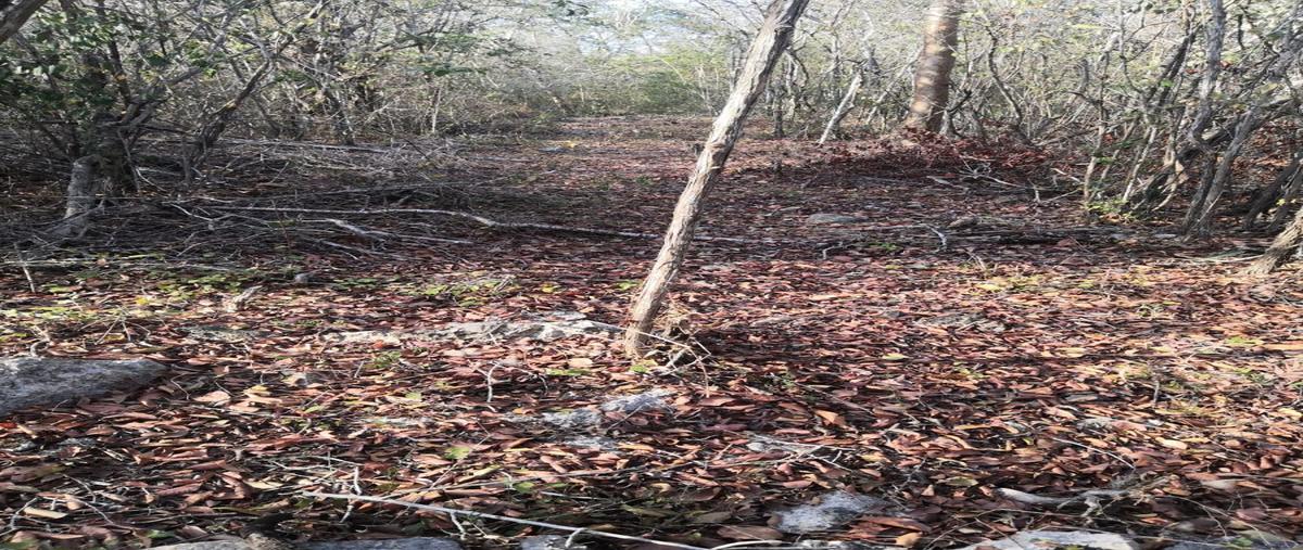 Foto de terreno habitacional en venta en  , komchen, mérida, yucatán, 27883025 No. 03