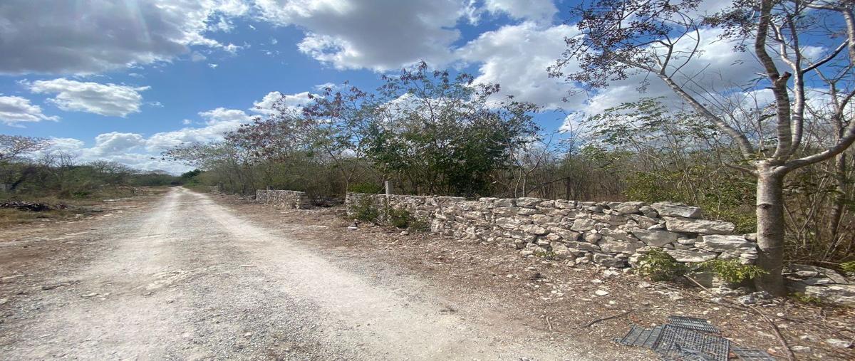 Foto de terreno habitacional en venta en  , komchen, mérida, yucatán, 27883025 No. 04
