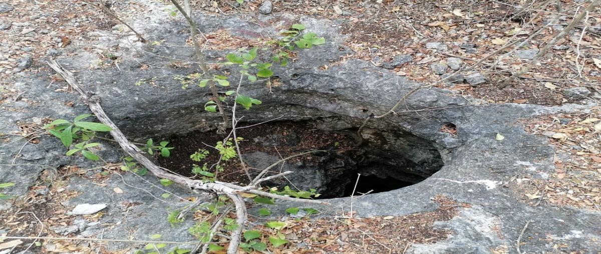 Foto de terreno habitacional en venta en  , komchen, mérida, yucatán, 27883025 No. 05