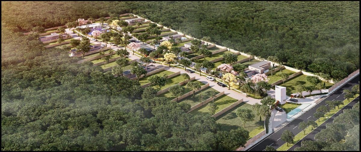 Foto de terreno habitacional en venta en  , komchen, mérida, yucatán, 28250408 No. 03