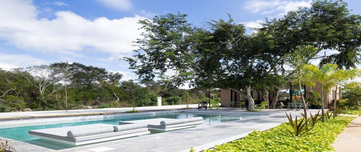 Foto de terreno habitacional en venta en  , komchen, mérida, yucatán, 28250408 No. 05
