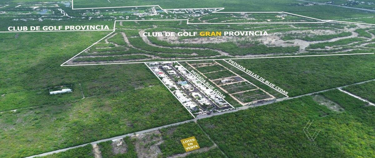 Foto de terreno habitacional en venta en  , komchen, mérida, yucatán, 0 No. 05