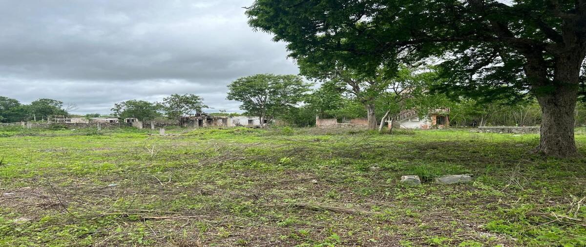 Foto de terreno habitacional en , komchen, mérida, yucatán, 29001668 foto 05 Foto de terreno habitacional en venta en , komchen, mérida, yucatán, 29001668 No. 05