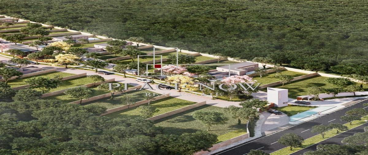 Foto de terreno habitacional en venta en  , komchen, mérida, yucatán, 0 No. 05