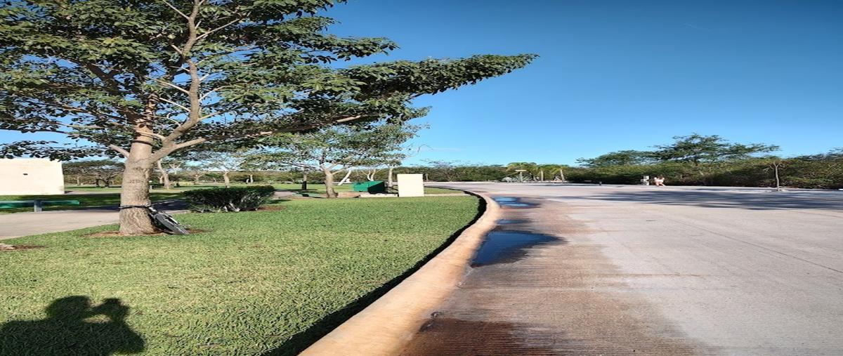 Foto de terreno habitacional en venta en  , komchen, mérida, yucatán, 30112703 No. 04