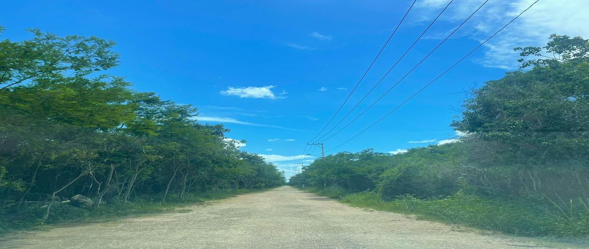 Foto de terreno habitacional en venta en  , komchen, mérida, yucatán, 0 No. 05