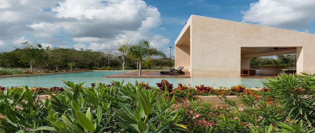 Foto de terreno habitacional en venta en  , komchen, mérida, yucatán, 30478819 No. 05