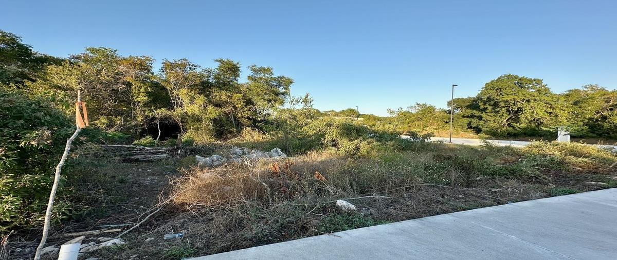 Foto de terreno habitacional en venta en  , komchen, mérida, yucatán, 0 No. 03