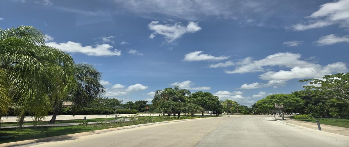 Foto de terreno habitacional en venta en - , komchen, mérida, yucatán, 0 No. 05