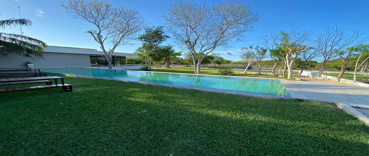 Foto de terreno habitacional en venta en  , komchen, mérida, yucatán, 30673603 No. 05