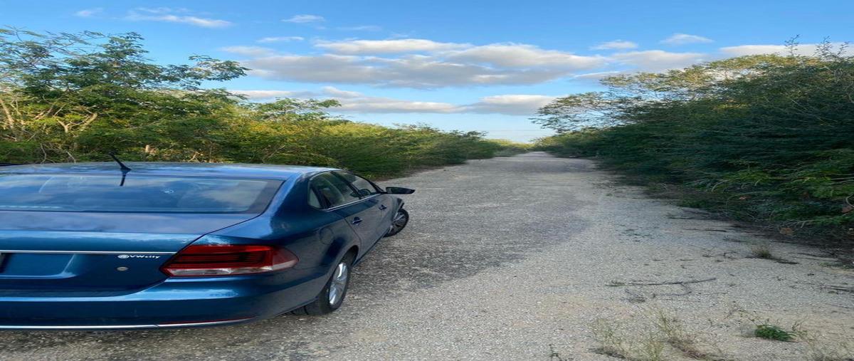 Foto de terreno habitacional en venta en  , komchen, mérida, yucatán, 30710278 No. 04