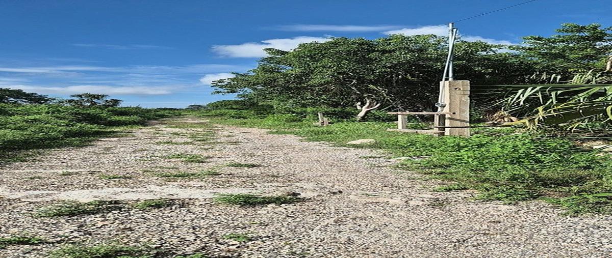 Foto de terreno habitacional en venta en  , komchen, mérida, yucatán, 30836080 No. 03