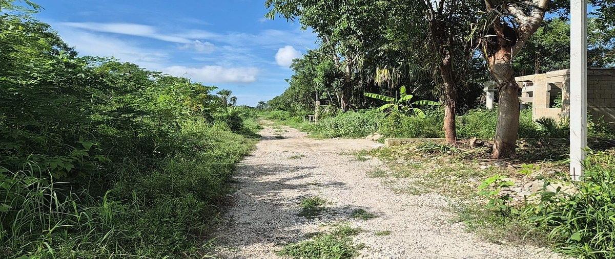 Foto de terreno habitacional en venta en  , komchen, mérida, yucatán, 30836080 No. 05