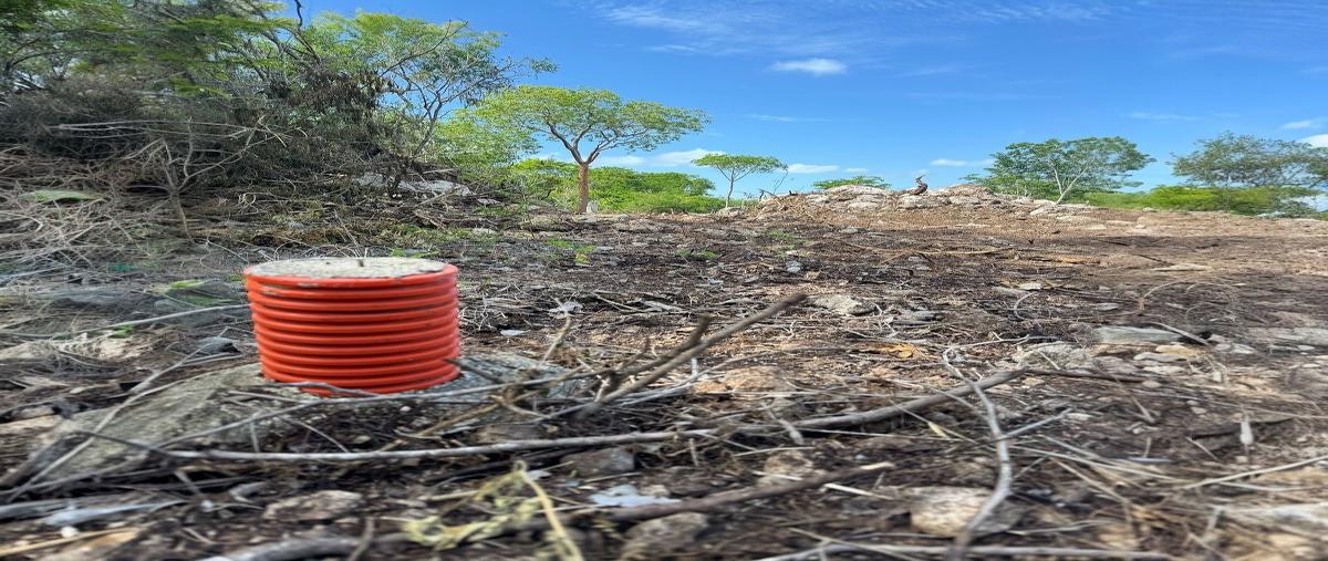 Foto de terreno habitacional en , komchen, mérida, yucatán, 30950436 foto 03 Foto de terreno habitacional en venta en , komchen, mérida, yucatán, 30950436 No. 03