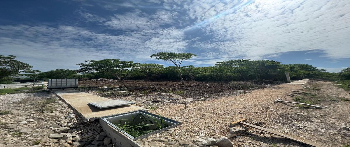 Foto de terreno habitacional en , komchen, mérida, yucatán, 30950436 foto 05 Foto de terreno habitacional en venta en , komchen, mérida, yucatán, 30950436 No. 05