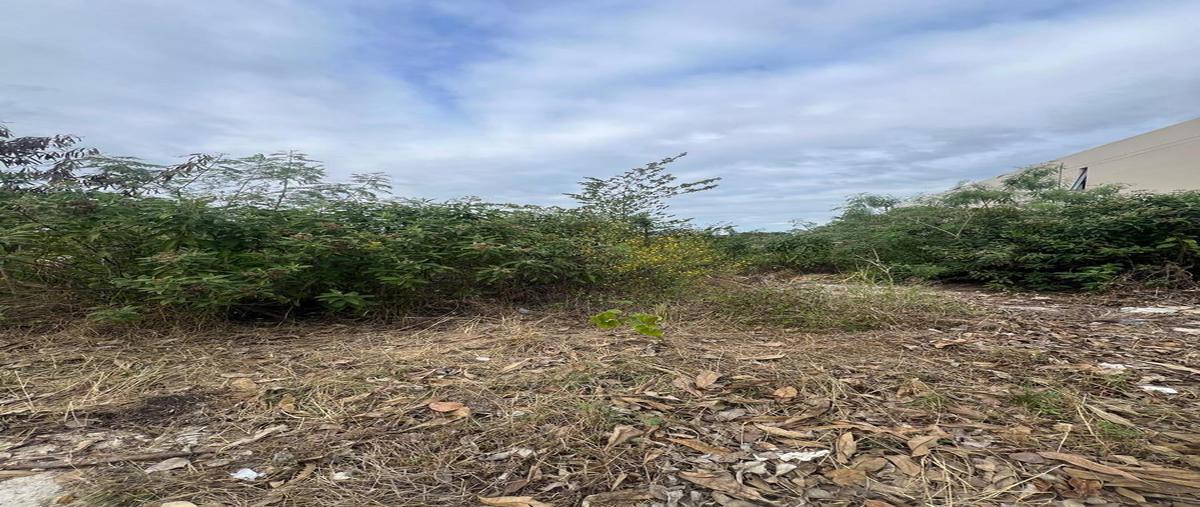 Foto de terreno habitacional en venta en  , komchen, mérida, yucatán, 0 No. 05
