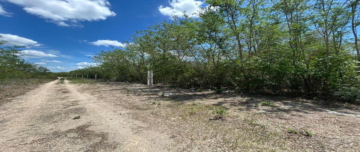 Foto de terreno habitacional en venta en  , komchen, mérida, yucatán, 0 No. 03