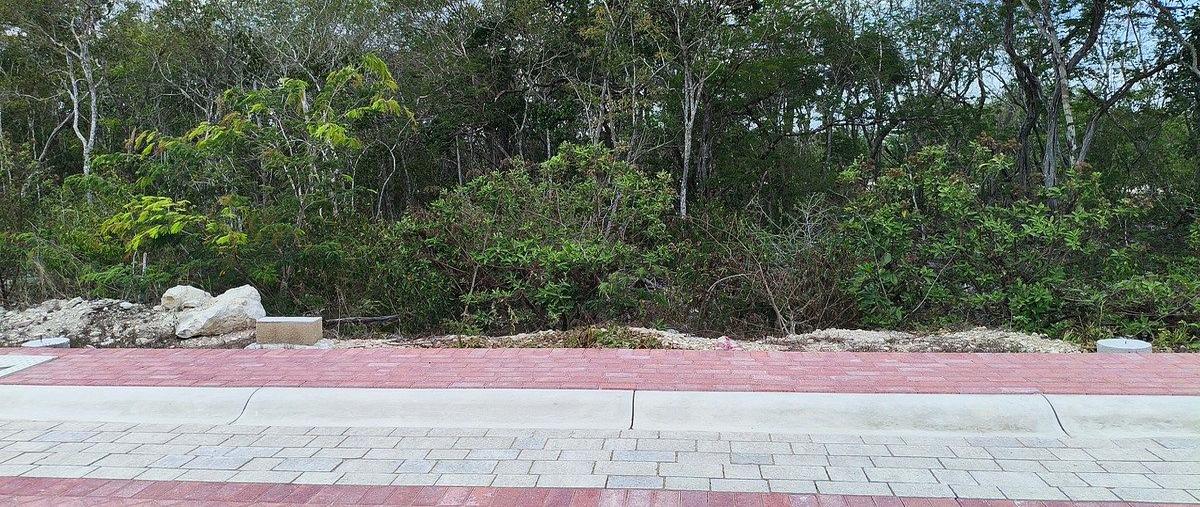 Foto de terreno habitacional en venta en  , komchen, mérida, yucatán, 0 No. 04