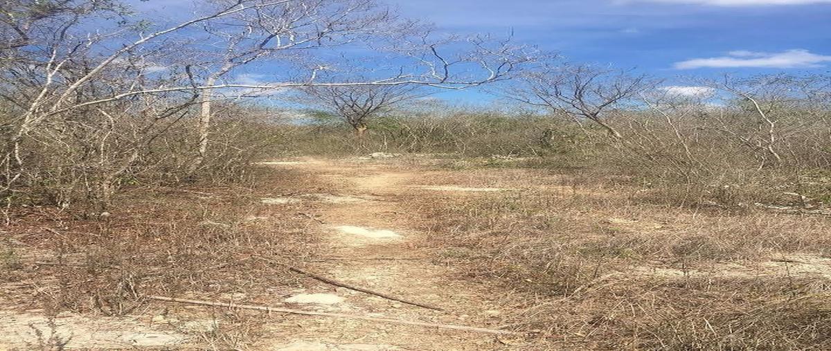 Foto de terreno habitacional en venta en -- , komchen, mérida, yucatán, 31099149 No. 03