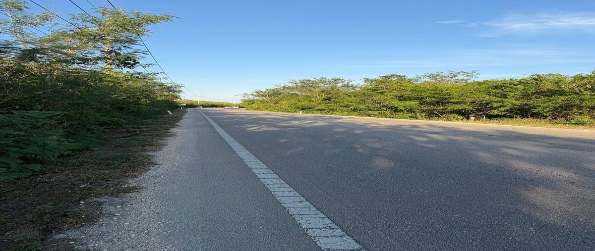 Foto de terreno habitacional en venta en . , komchen, mérida, yucatán, 0 No. 03