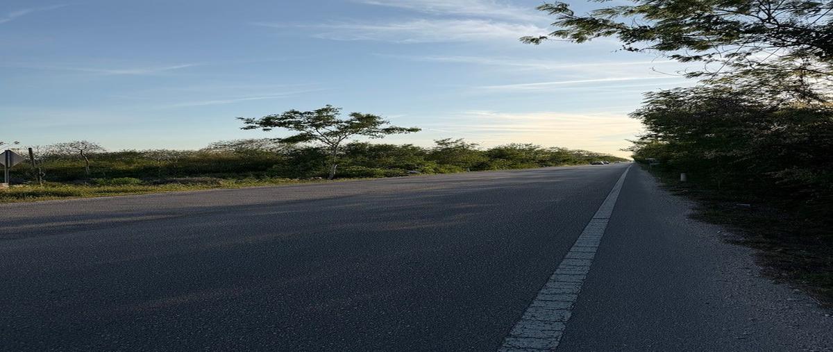 Foto de terreno habitacional en venta en . , komchen, mérida, yucatán, 0 No. 04