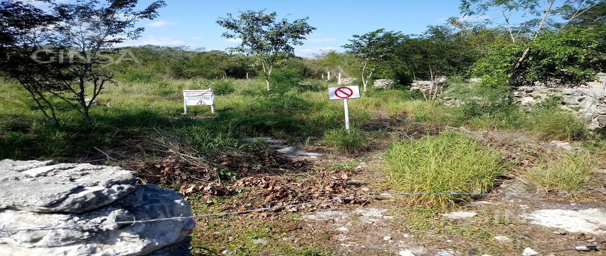 Foto de terreno habitacional en venta en  , komchen, mérida, yucatán, 0 No. 03