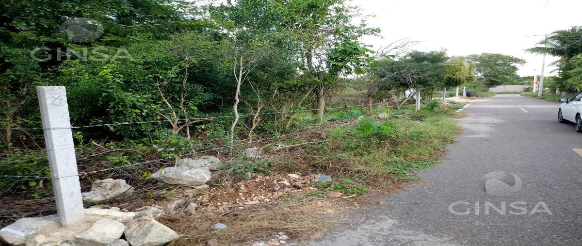 Foto de terreno habitacional en venta en  , komchen, mérida, yucatán, 0 No. 05