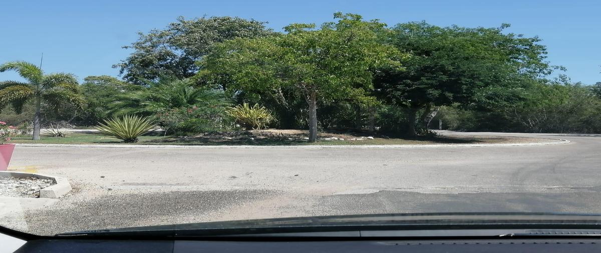 Foto de terreno habitacional en venta en  , komchen, mérida, yucatán, 0 No. 07