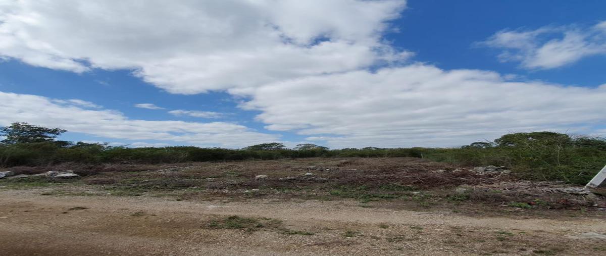 Foto de terreno habitacional en venta en  , komchen, mérida, yucatán, 31427173 No. 03