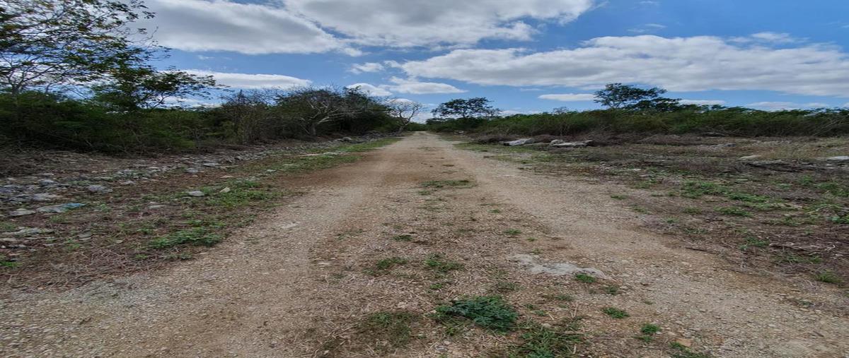 Foto de terreno habitacional en venta en  , komchen, mérida, yucatán, 31427173 No. 04