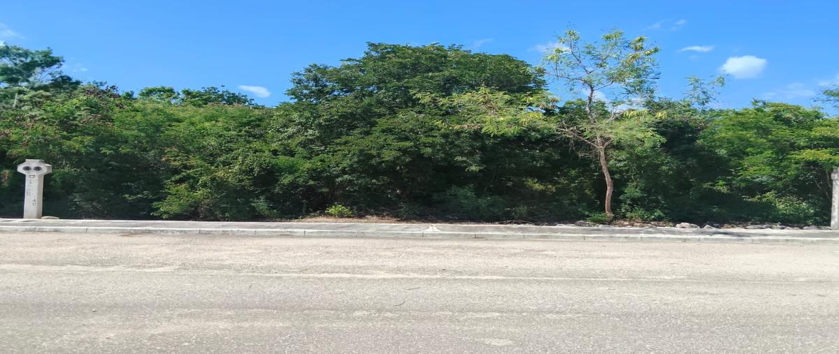 Foto de terreno habitacional en venta en  , komchen, mérida, yucatán, 0 No. 03