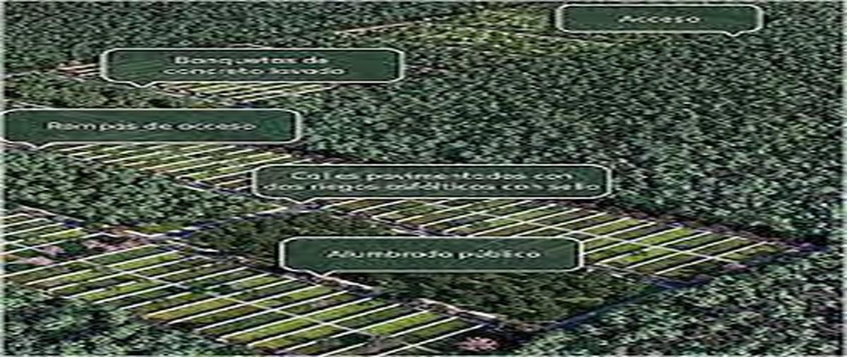Foto de terreno habitacional en venta en  , komchen, mérida, yucatán, 7860945 No. 03