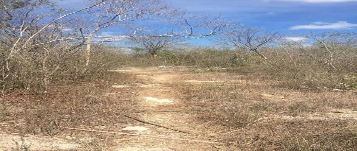 Foto de terreno habitacional en venta en  , komchen, mérida, yucatán, 7861035 No. 03