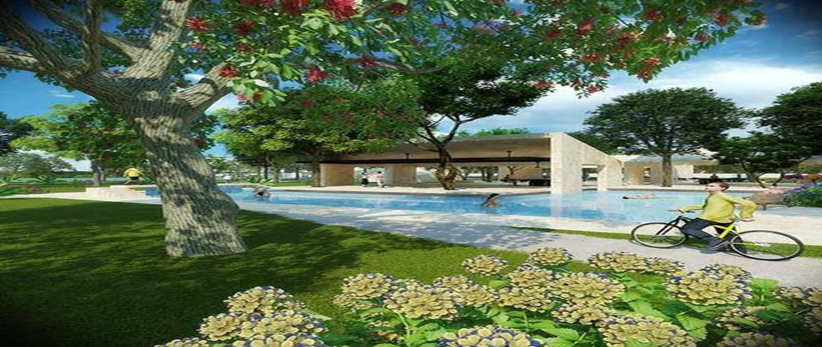 Foto de terreno habitacional en venta en  , komchen, mérida, yucatán, 7887955 No. 03