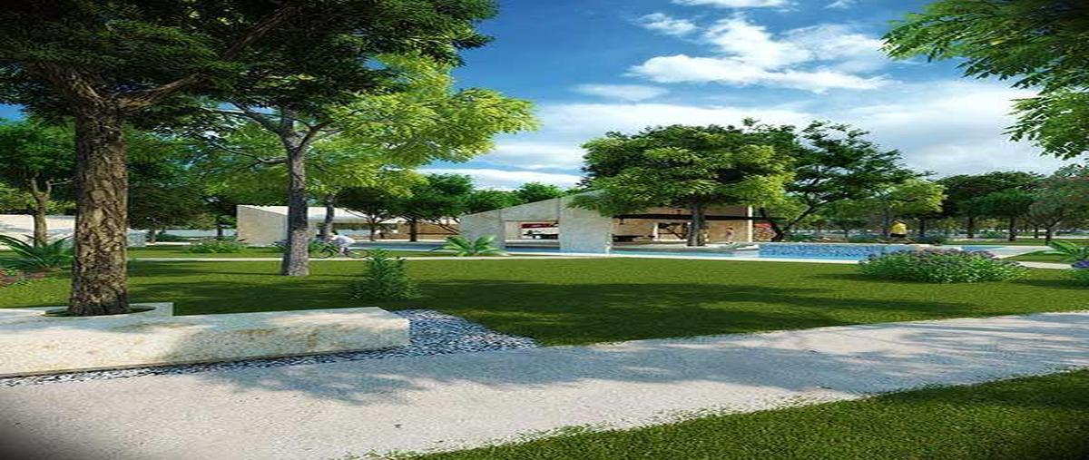 Foto de terreno habitacional en venta en  , komchen, mérida, yucatán, 8030632 No. 04