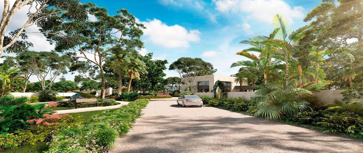 Foto de terreno habitacional en venta en komchen, mérida, yucatán , komchen, mérida, yucatán, 19513981 No. 05