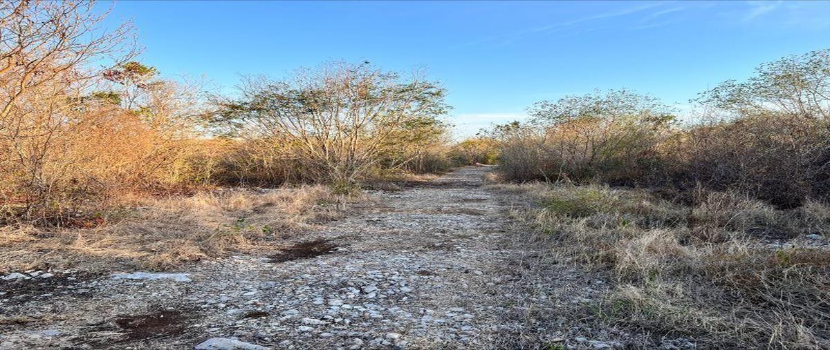 Foto de terreno habitacional en venta en  , komchén (santuario), mérida, yucatán, 28215080 No. 03