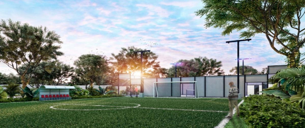 Foto de terreno habitacional en venta en komchen whi271375, komchen, mérida, yucatán, 21053217 No. 04