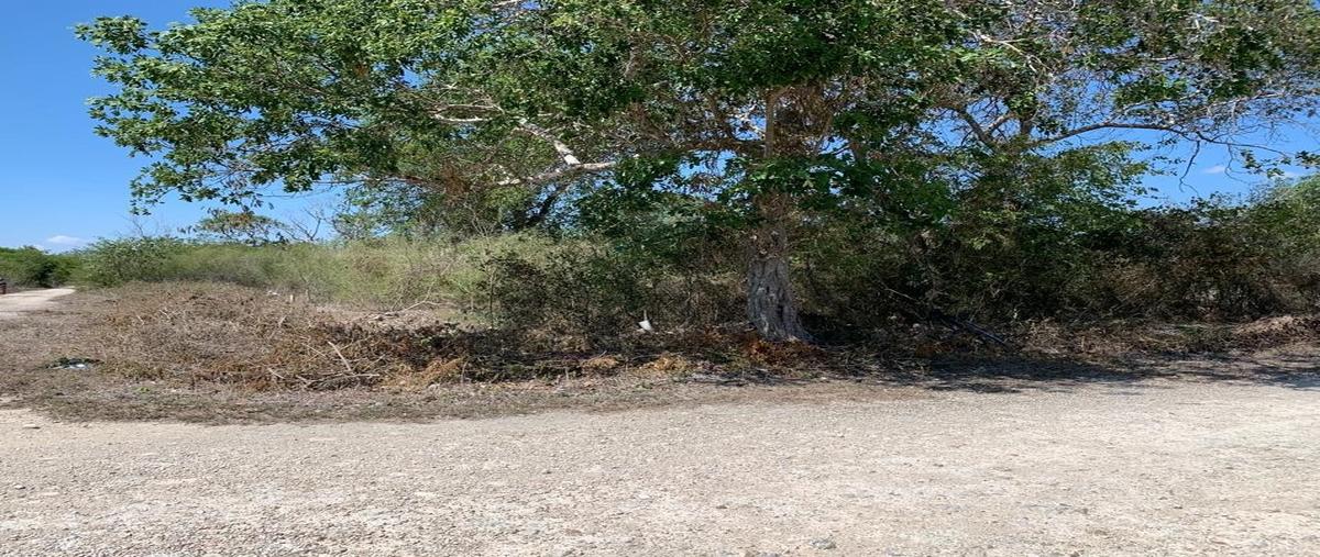 Foto de terreno habitacional en venta en komchen whi301758, komchen, mérida, yucatán, 0 No. 03