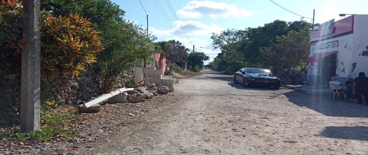 Foto de rancho en , kopte, motul, yucatán, 0 foto 05 Foto de rancho en venta en , kopte, motul, yucatán, 0 No. 05