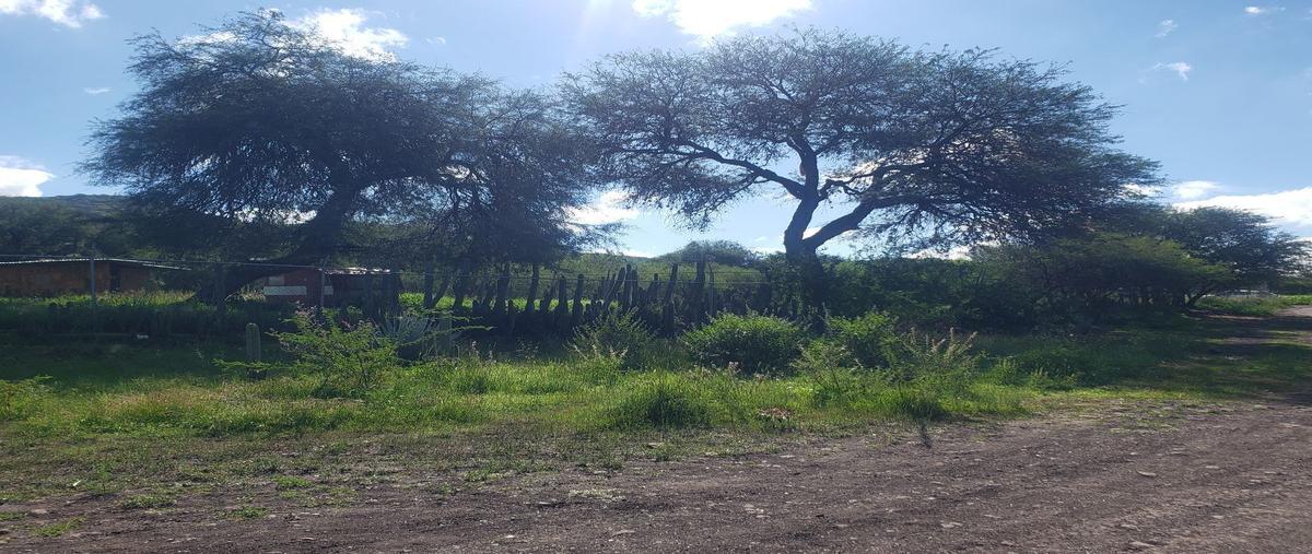 Foto de terreno habitacional en korea , santa catarina (asociación de colonos), querétaro, querétaro, 25518270 foto 02 Foto de terreno habitacional en venta en korea , santa catarina (asociación de colonos), querétaro, querétaro, 25518270 No. 02