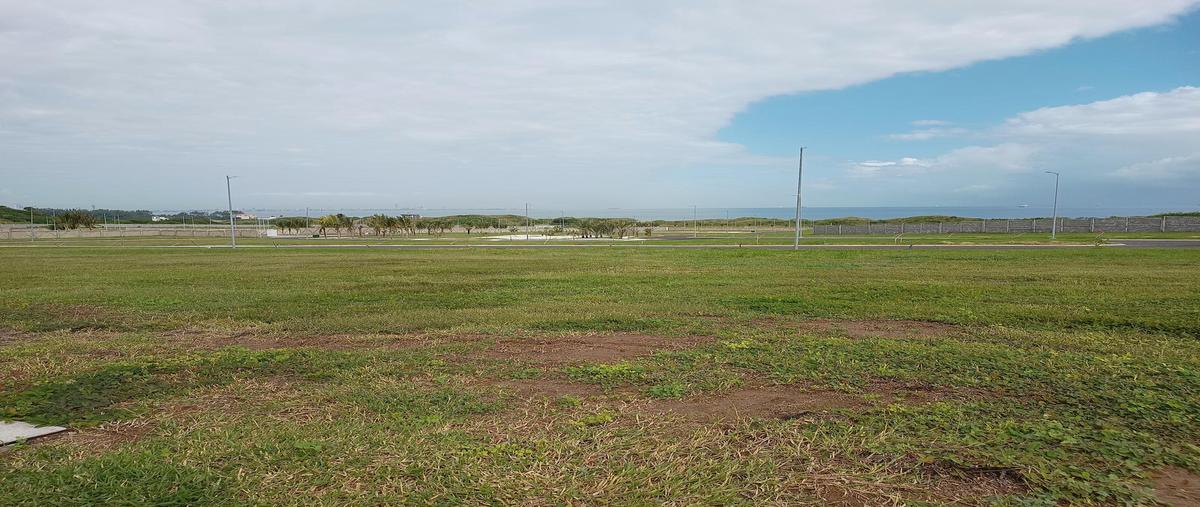 Foto de terreno habitacional en venta en  , la aguada, alvarado, veracruz de ignacio de la llave, 25310366 No. 05
