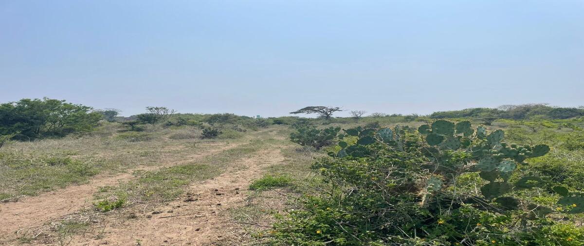 Foto de terreno habitacional en venta en  , la aguada, alvarado, veracruz de ignacio de la llave, 25967919 No. 03