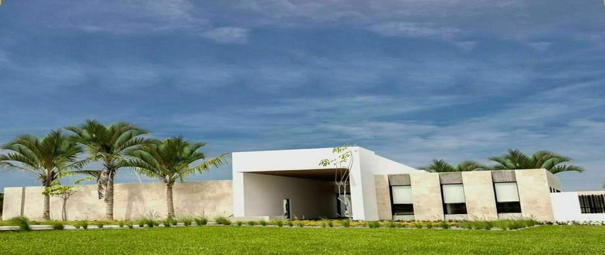 Foto de casa en venta en  , la aguada, alvarado, veracruz de ignacio de la llave, 28488130 No. 04