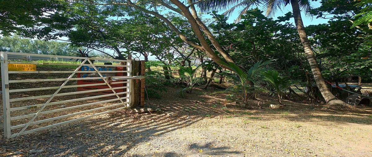 Foto de terreno habitacional en venta en  , la aguada, alvarado, veracruz de ignacio de la llave, 28857100 No. 04