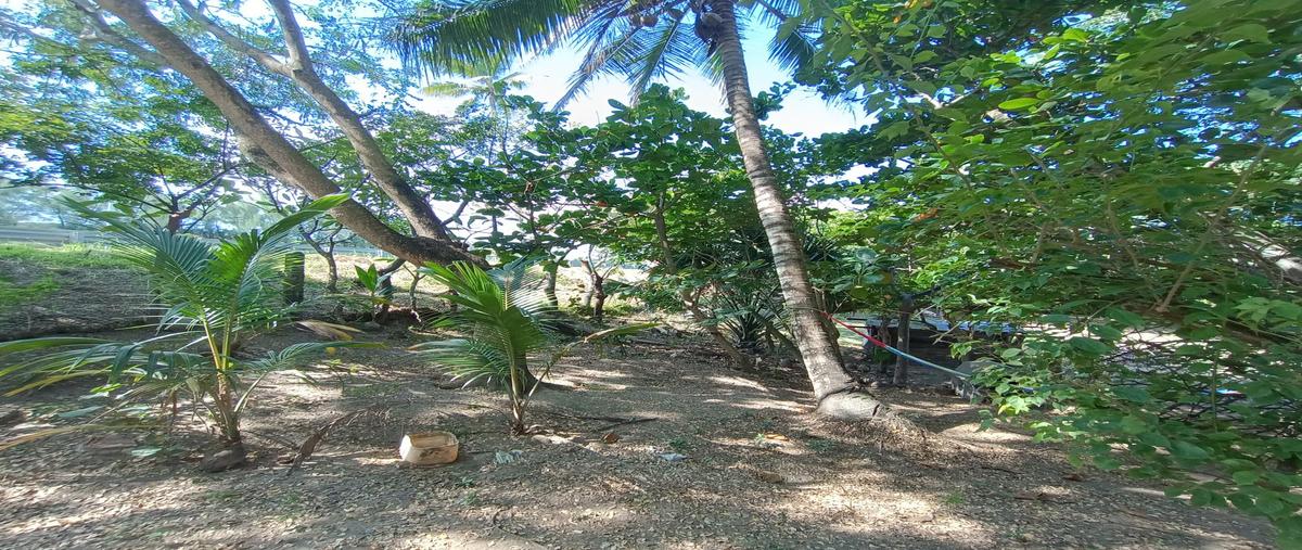 Foto de terreno habitacional en venta en  , la aguada, alvarado, veracruz de ignacio de la llave, 28857100 No. 05
