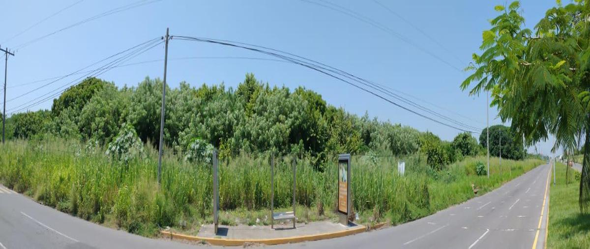 Foto de terreno habitacional en venta en  , la aguada, alvarado, veracruz de ignacio de la llave, 28945589 No. 04