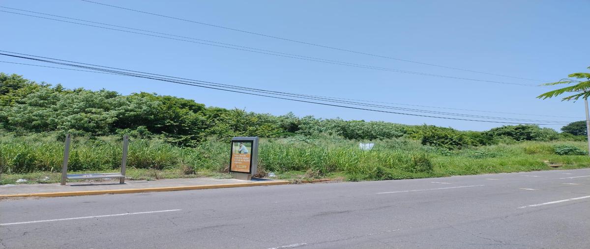 Foto de terreno habitacional en venta en  , la aguada, alvarado, veracruz de ignacio de la llave, 28945589 No. 05