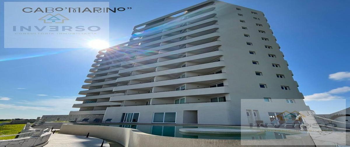 Foto de departamento en venta en  , la aguada, alvarado, veracruz de ignacio de la llave, 28951671 No. 03